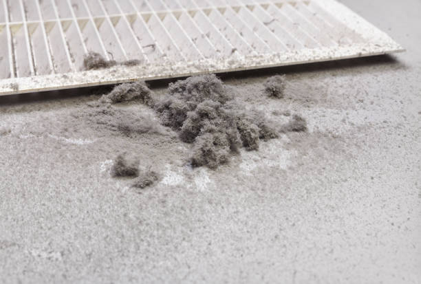 Best Ductwork Cleaning Services  in St Albans, WV