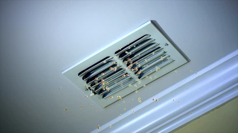 Best Duct Cleaning for Homes  in St Albans, WV
